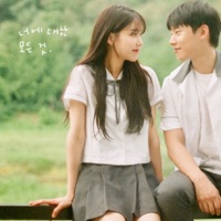 Everything about You - Single - ROCOBERRY