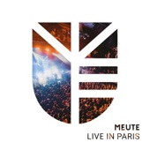 Miss You (Live in Paris) artwork