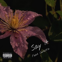 Say It (feat. Cwalka) - Single - Fla$hy Kahuna