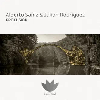 Profusion - Single by Alberto Sainz & Julián Rodríguez album reviews, ratings, credits