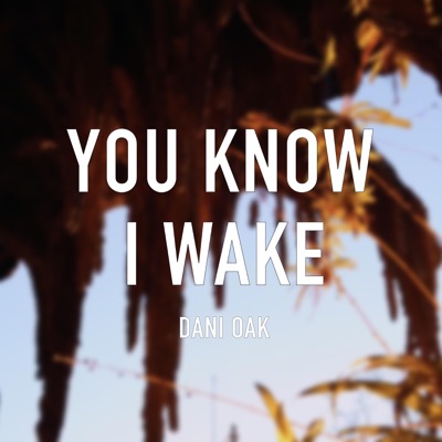You Know I Wake - Single