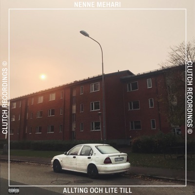 Allting och lite till - Single