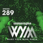 Wake Your Mind Radio 289 artwork