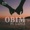 Pc Lapez - Obim ft. Flavour.m4a