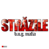b.u.g. mafia - Strazile  (Instrumental) artwork