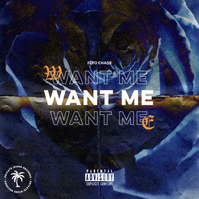 Want Me - Single