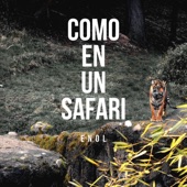 Como en Un Safari artwork