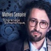 Mathieu Sempere  Engrenage symphonique