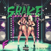 Shake (feat. Brijett) - Single - King Pimpin'