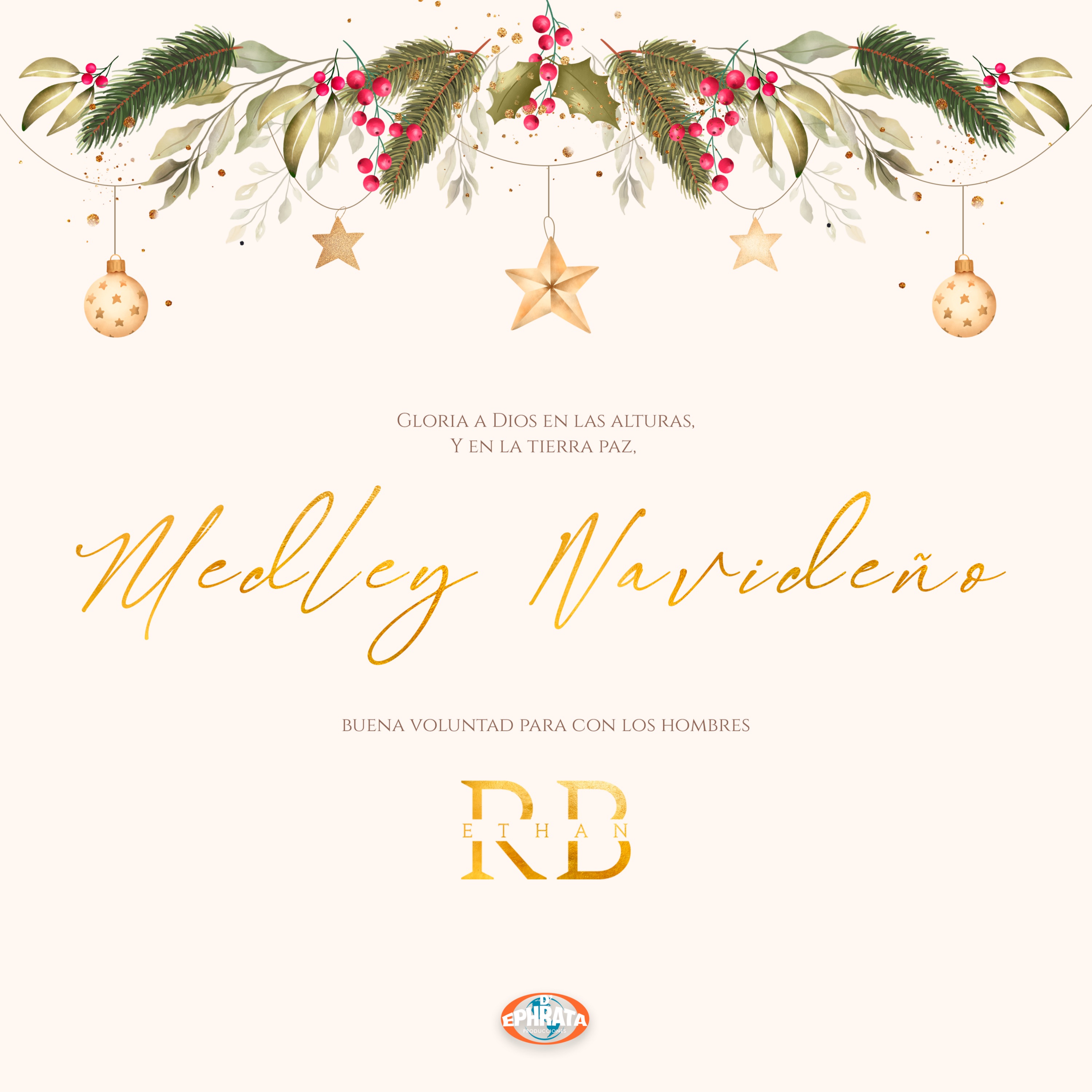 Medley Navideño - Single
