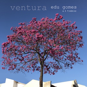 Ventura (feat. Adriano Grineberg, Airton Fernandes & Caio Gomes)