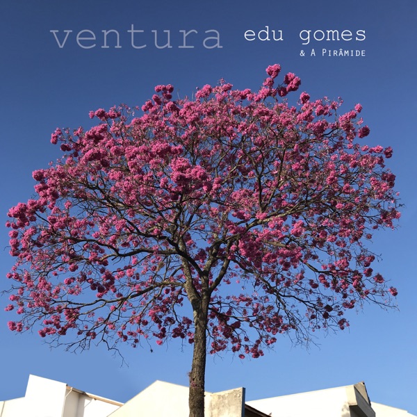 Ventura (feat. Adriano Grineberg, Airton Fernandes & Caio Gomes)