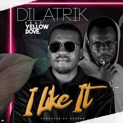 I Like It (feat. Yellow Dove) - Single