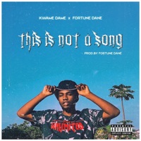 This Is Not a Song (feat. Fortune Dane) - Single - Kwame Dame
