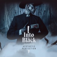 Into the Black (Deluxe Version) - Aesthetic Perfection