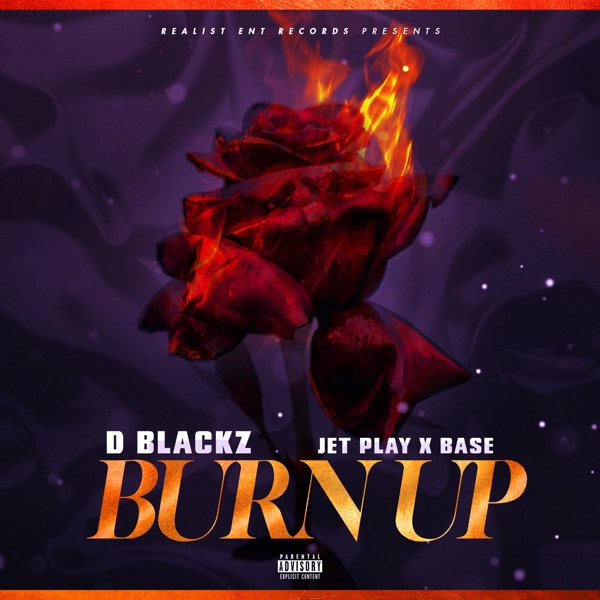 Burn Up - Single