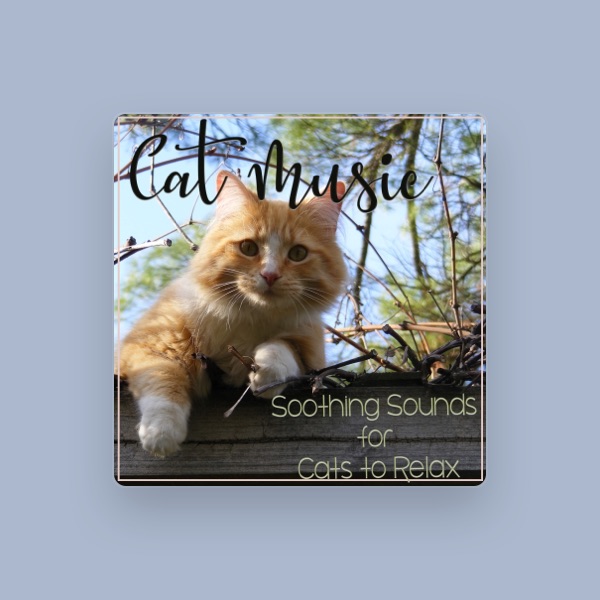 Cat Music Zone's avatar