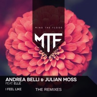I Feel Like (feat. Elle) - EP - Andrea Belli & Julian Moss