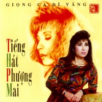 Giọng Ca Dĩ Vãng - Phượng Mai