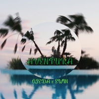 Aventura (feat. SWIN) - Single - Ojeda