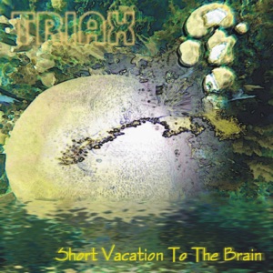 Short Vacation To the Brain