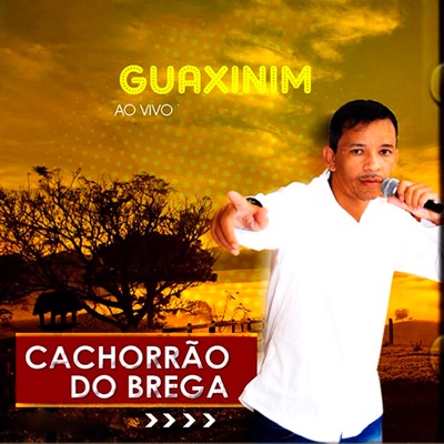 Cachorrão do Brega - Aí Eu Choro (Ao Vivo)