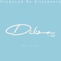 Bar King - Single - Diliza the MD