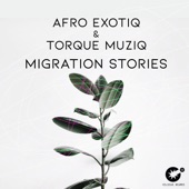 Migration Stories artwork