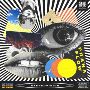 Stereovision - Single