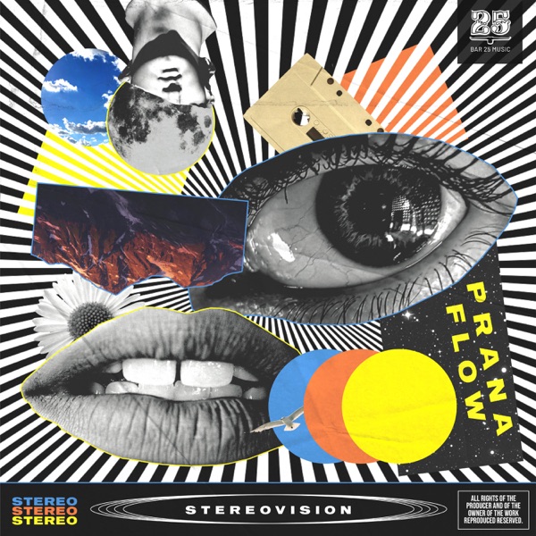 Stereovision - Single