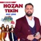 Tu Delala Dılemıni - Hozan Tekin lyrics