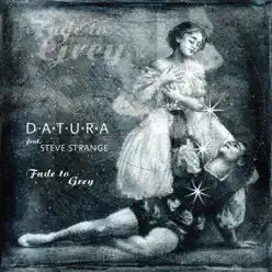 Fade To Grey (Remixes 2019) [feat. Steve Strange] - EP - Datura