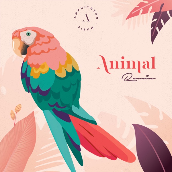 Animal - Amphitryon Remix - Single - Amphitryon & Twin Oaks