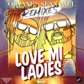 Love Mi Ladies (feat. Sean Paul) [NJ Remix] artwork