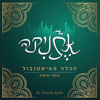 הכלה מאיסטנבול - אתניקה