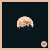 Luna - Single - BJ Bied