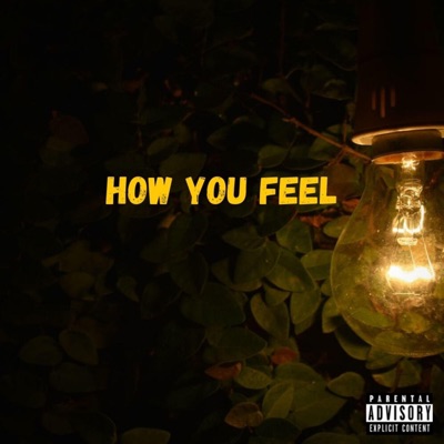 How You Feel (feat. KarmaticYoung) - Single