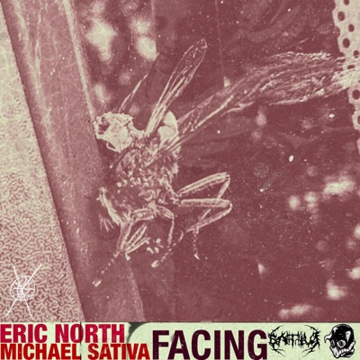 Facing (feat. Eric North) - Single