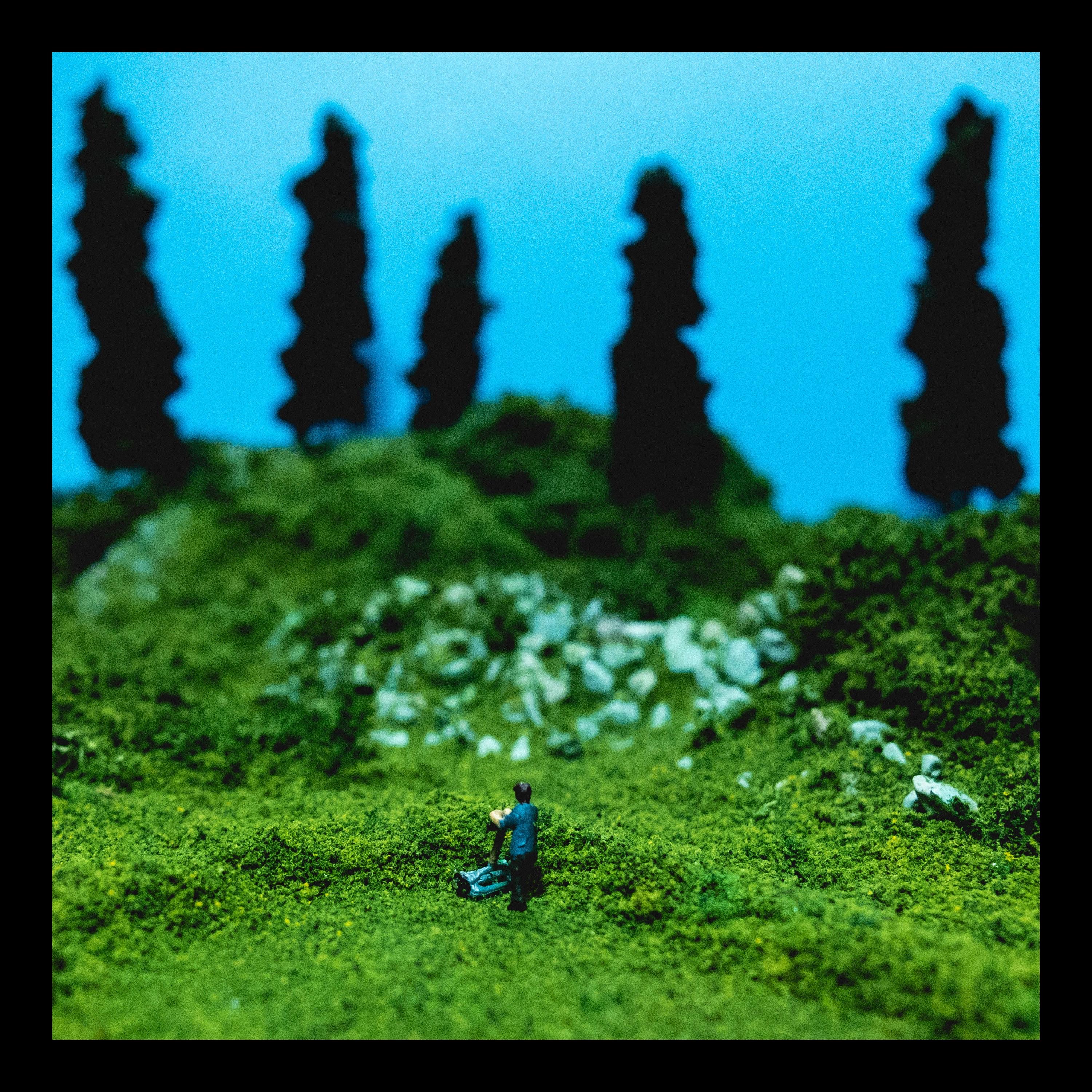 Bummer City's Best Lawn