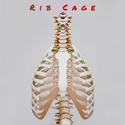 Rib Cage - Single