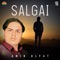 Da Dawo Mayano Deedan Kegi Mazigar - Amin Ulfat lyrics