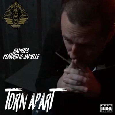 Torn Apart (feat. Jamelle) - Single