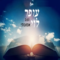 אמונתי - Single - Ofer Levi