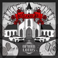 True Story - Single - Opium Lotus