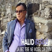 Halid Bešlić - Ja Bez Tebe Ne Mogu Da Zivim