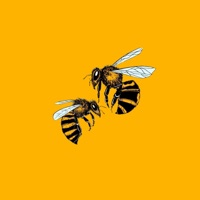 Bee Sting (feat. Future Allah, Lex Lavish & BlessChild) - Single - Haile Space