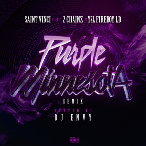 Purple Minnesota (feat. 2 Chainz & DJ Envy) - Single