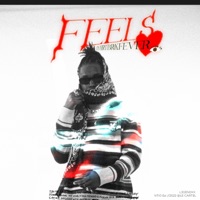 Feels - Single - L3gendxx & Hrtbrkfever