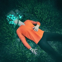 Field at Night - Single - Personality