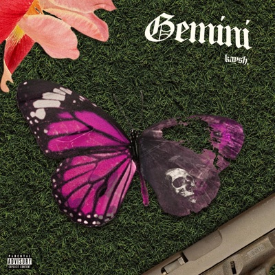 GeMiNi